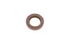 Элемент насоса Common Rail BOSCH F 01M 100 984 (фото 1)