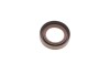 Елемент насосу Common Rail BOSCH F 01M 100 984 (фото 3)