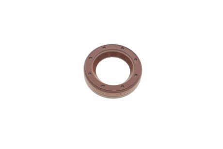 Елемент насосу Common Rail BOSCH F 01M 100 984