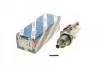 Циліндр гальмівної (головний) Citroen Jumpy/Fiat Scudo/Peugeot 806/Expert 95-06/605 89-99 BOSCH F 026 003 188 (фото 1)