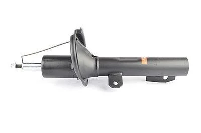 Амортизатор подвески BSG BSG 30-300-061