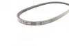 Ремінь генератора VW Caddy/Golf/Passat/Polo 1.4-2.0 91-02/Seat Alhambra/Ibiza 91-10 (755x11.5) Contitech 11,5X755Ld (фото 3)