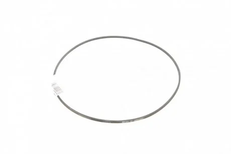 Дорожный пас Contitech 2 PJ 800