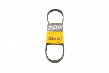 Дорожный пас Contitech 4 PK 795