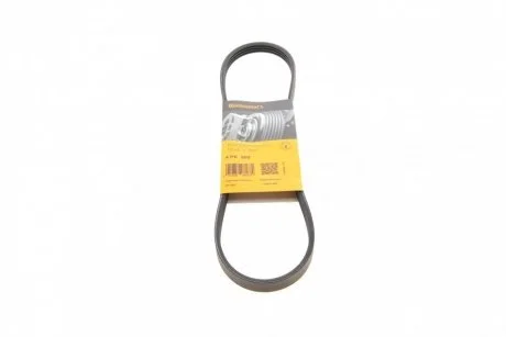 Дорожный пас Contitech 4 PK 800