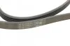 Доріжковий пас Contitech 4 PK 860 ELAST (фото 3)
