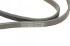 Доріжковий пас Contitech 4 PK 867 ELAST (фото 4)