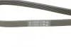 Доріжковий пас Contitech 5 PK 1120 (фото 4)
