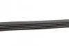 Комплект паса поликлинового Renault Clio/Megane/S Contitech 5PK1135K2 (фото 2)