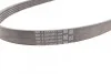 Пас поликлиновый Fiat 500L/Punto 0.9 12- Contitech 5PK1166EXTRA (фото 2)