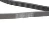 Комплект ГРМ Contitech 5PK1212K1 (фото 3)