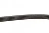 Доріжковий пас Contitech 5 PK 1260 (фото 6)