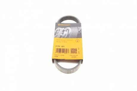Дорожный пас Contitech 5 PK 491