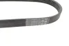 Доріжковий пас Contitech 5 PK 628 ELAST (фото 3)