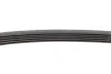 Доріжковий пас Contitech 5 PK 628 ELAST (фото 4)