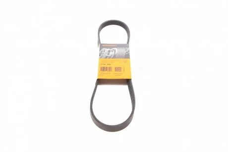 Дорожный пас Contitech 5 PK 906