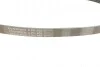 Дорожный пас Contitech 5 PK 955 (фото 2)