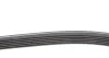 Комплект паса поликлинового Audi A3/Seat Leon/Sko Contitech 6DPK1195K1 (фото 2)