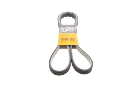 Дорожный пас Contitech 6 DPK 1697