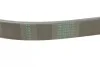 Доріжковий пас Contitech 6 PK 1010 (фото 3)