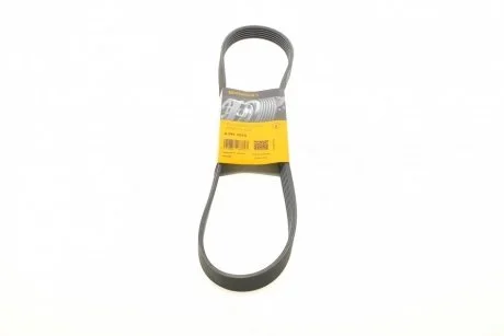 Дорожный пас Contitech 6 PK 1010