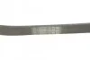 Доріжковий пас Contitech 6 PK 1019 ELAST (фото 3)