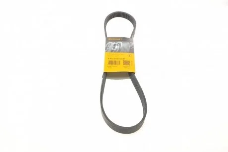 Доріжковий пас Contitech 6 PK 1019 ELAST