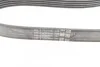 Ремінь генератора Ford Fiesta/Focus 1.4/1.6i 16V 01-12 (6PK1019 ELAST+5PK690 ELAST) Contitech 6PK1019 ELAST T1 (фото 11)