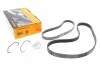 Ремінь генератора Ford Fiesta/Focus 1.4/1.6i 16V 01-12 (6PK1019 ELAST+5PK690 ELAST) 6PK1019 ELAST T1