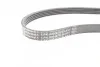 Ремінь генератора Ford Fiesta/Focus 1.4/1.6i 16V 01-12 (6PK1019 ELAST+5PK690 ELAST) Contitech 6PK1019 ELAST T1 (фото 10)