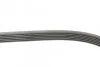 Доріжковий пас Contitech 6 PK 1033 ELAST (фото 2)