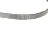 Доріжковий пас Contitech 6 PK 1033 ELAST (фото 3)