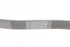 Доріжковий пас Contitech 6 PK 1042 ELAST (фото 3)