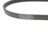 Доріжковий пас Contitech 6 PK 1059 ELAST (фото 2)