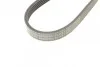 Ремінь генератора Ford Focus 1.4/1.6i 03-/Volvo C30/S40/V50 1.6 05-12 (6PK1059 ELAST+5PK868 ELAST) Contitech 6PK1059 ELAST T2 (фото 3)
