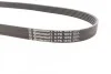 Дорожный пас Contitech 6 PK 1070 (фото 3)