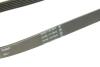 Доріжковий пас Contitech 6 PK 1073 EXTRA (фото 4)