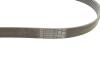 Ремінь генератора Citroen DS5/Peugeot 3008/508 I 2.0DH 10-18 Contitech 6PK1080 EXTRA (фото 2)
