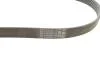 Ремінь генератора Citroen DS5/Peugeot 3008/508 I 2.0DH 10-18 Contitech 6PK1080 EXTRA (фото 2)