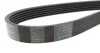 Комплект паса поликлинового Audi A2/Seat Ibiza/Sk Contitech 6PK1080K1 (фото 3)