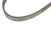 Пас поликлиновый Contitech 6PK1090ELAST (фото 4)