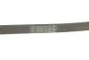Пас поликлиновый Contitech 6PK1090ELAST (фото 5)