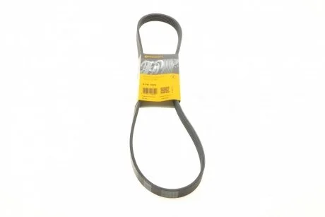 Доріжковий пас Contitech 6 PK 1095