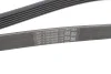 Пас поліклиновий Contitech 6PK1401EXTRA (фото 4)