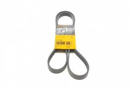 Доріжковий пас Contitech 6 PK 1564