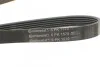 Доріжковий пас Contitech 6 PK 1570 (фото 4)