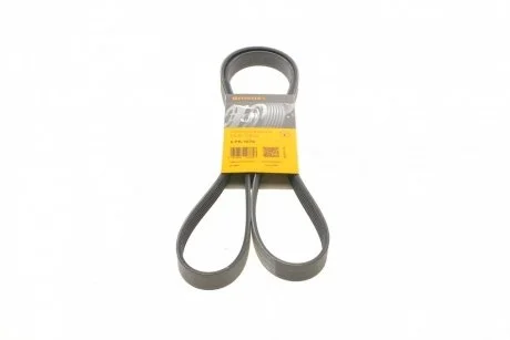 Доріжковий пас Contitech 6 PK 1670