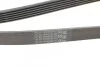 Дорожный пас Contitech 6 PK 1800 (фото 3)