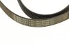 Доріжковий пас Contitech 6 PK 1822 EXTRA (фото 4)
