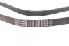 Доріжковий пас Contitech 6 PK 1847 EXTRA (фото 2)